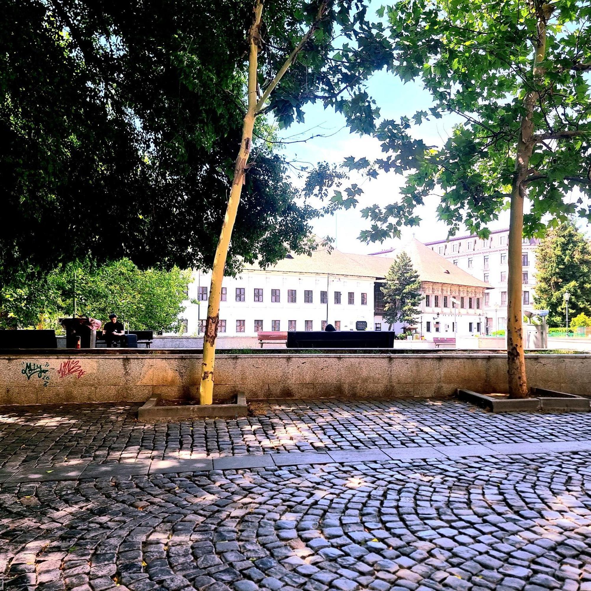Enchanting Retreat - Historic Old Town - Pet-Friendly Haven - Steps From Unirii Bucarest Extérieur photo