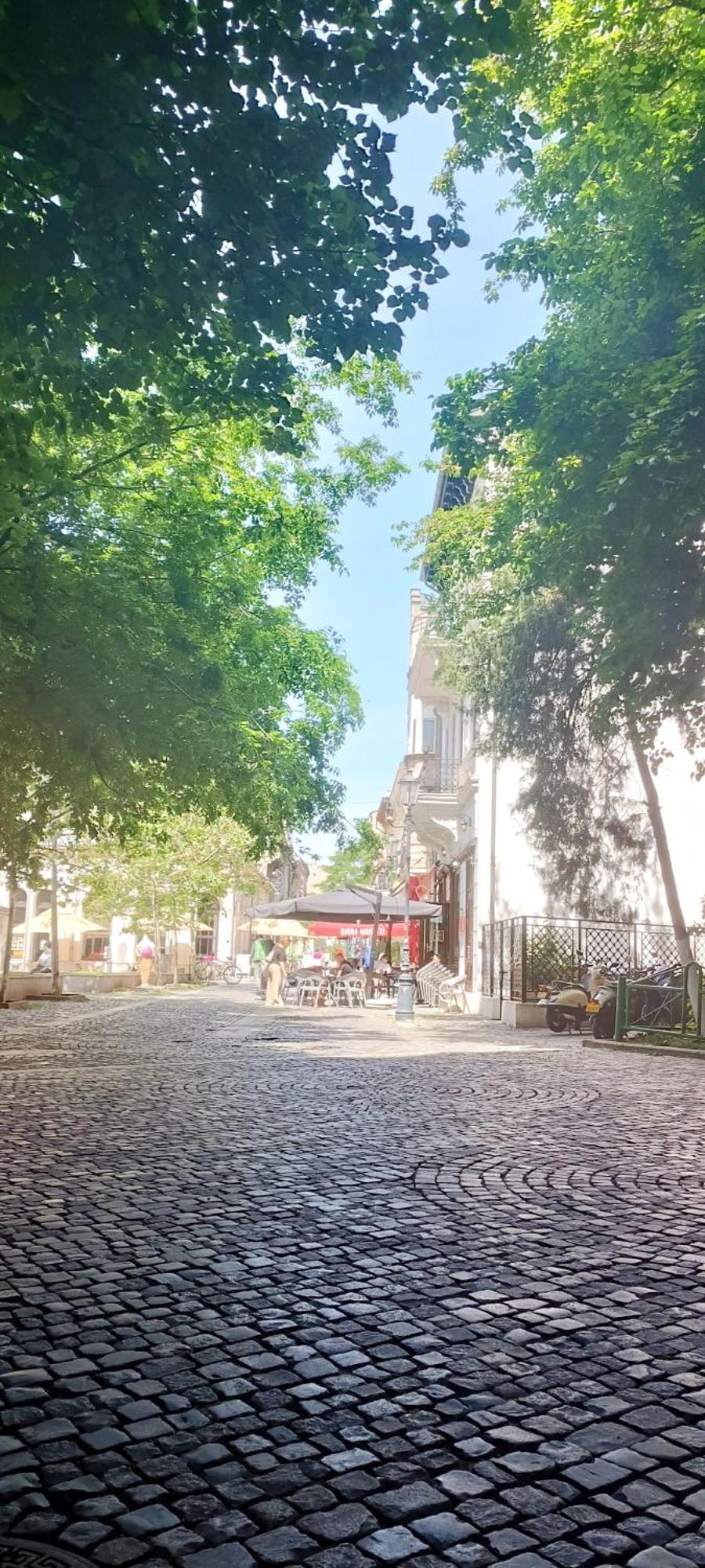 Enchanting Retreat - Historic Old Town - Pet-Friendly Haven - Steps From Unirii Bucarest Extérieur photo